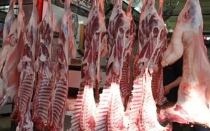 أسعار كيلو الضأن في أسواق قنا اليوم الإثنين وترقب استقرار الأسعار